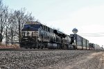 NS 8151 on 28X